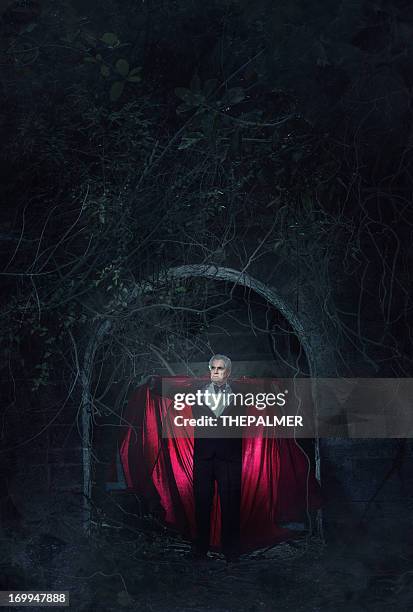 the vampire - vampire castle stock pictures, royalty-free photos & images