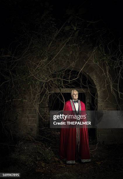 the vampire - vampire castle stock pictures, royalty-free photos & images