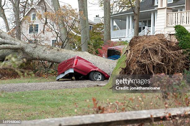 fallen tree demolished a red truck during hurricane sandy - hurricane storm 個照片及圖片檔