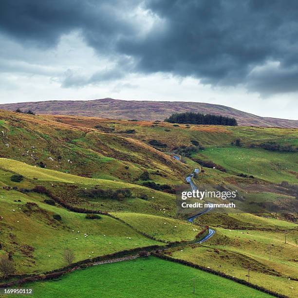 road in ireland - county antrim 個照片及圖片檔