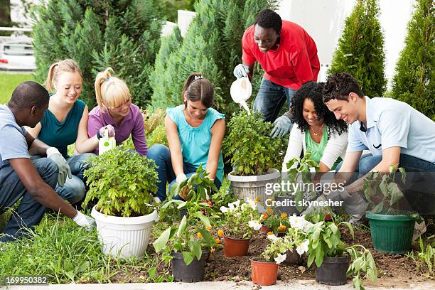 group of teenage friends gardening. - companion planting stock pictures, royalty-free photos & images