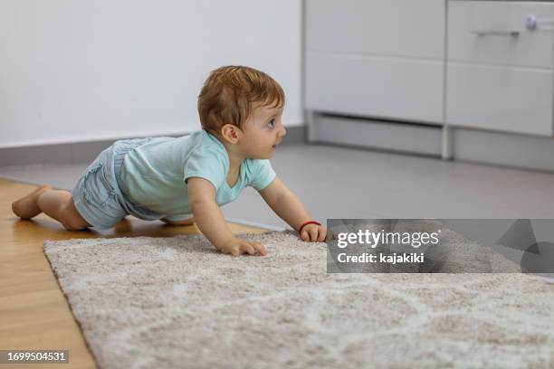Crawl Under Rugs 211 Baby Crawling Rug Stock Photos, High-Res Pictures, and Images ...