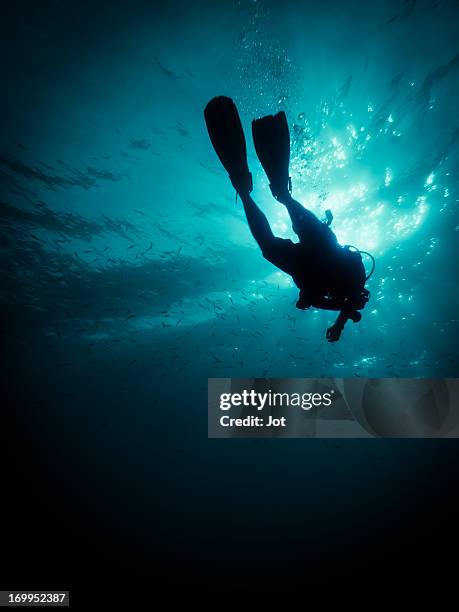diver down - deep sea diving stock pictures, royalty-free photos & images