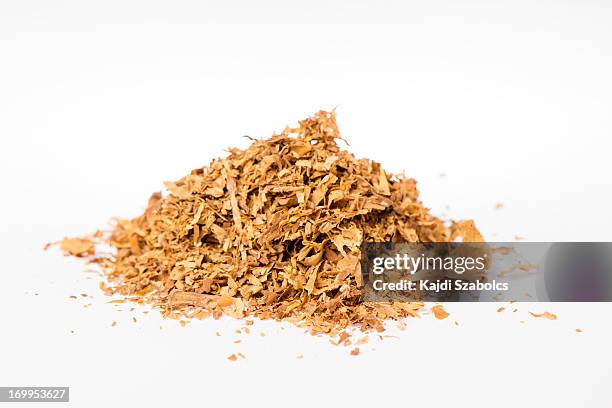 tobacco - tobacco crop stock pictures, royalty-free photos & images
