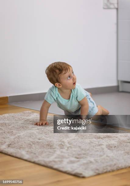 Crawl Under Rugs 211 Baby Crawling Rug Stock Photos, High-Res Pictures, and Images ...