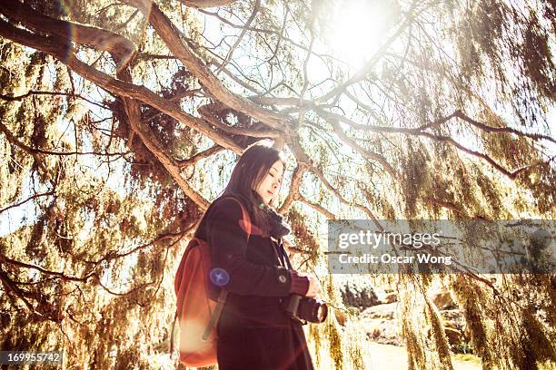 3,009 Person Standing Under Tree Stock Photos, High-Res Pictures, and ...