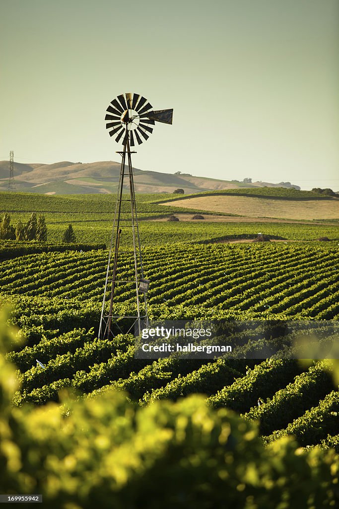 California Wine Country