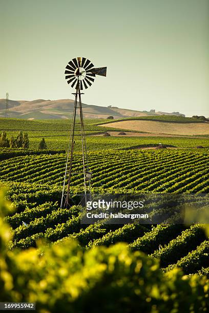 california wine country - wind turbine california stock pictures, royalty-free photos & images