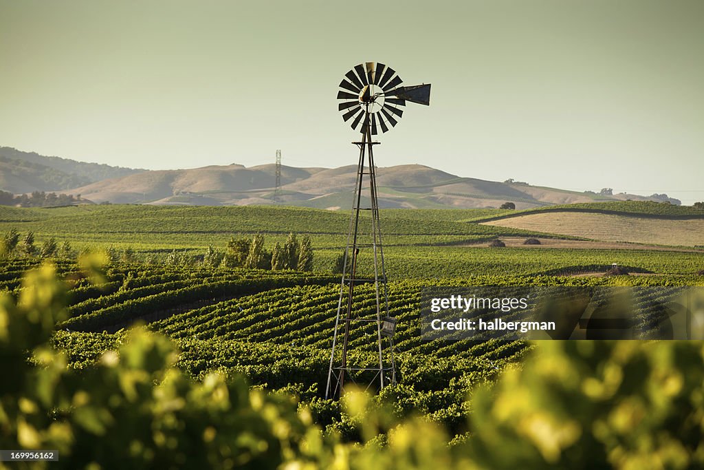 California Wine Country