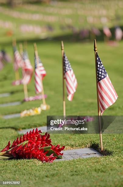 punchbowl cemetery, memorial day, oahu, hawaii (vertical) - hawaii flag 個照片及圖片檔
