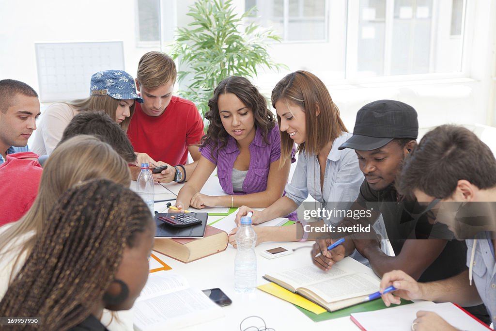 Group of students studying together.