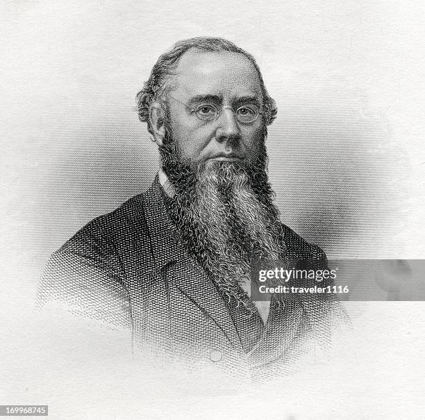 edwin mcmasters stanton - lawyer portrait stock illustrations