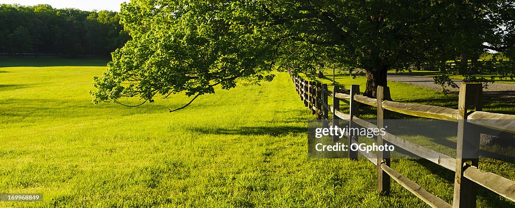 Panorama of a green field and fence