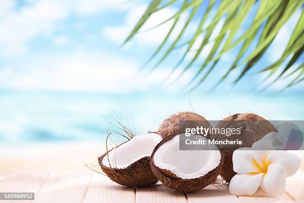 cocos de praia com espaço para texto - coconut imagens e fotografias de stock