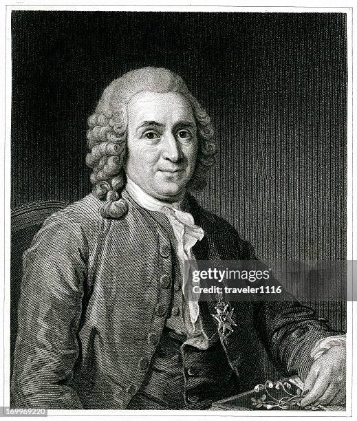 carl carl von linné - carl linnaeus stock-grafiken, -clipart, -cartoons und -symbole
