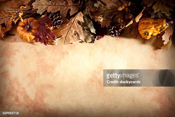 fall thanksgiving background with leaves and pumpkins - thanksgiving background bildbanksfoton och bilder