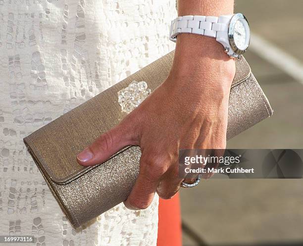 Sophie, Countess of Wessex arrives for a reception at the Guildford Flower Festival on June 5, 2013 in Guildford, England.