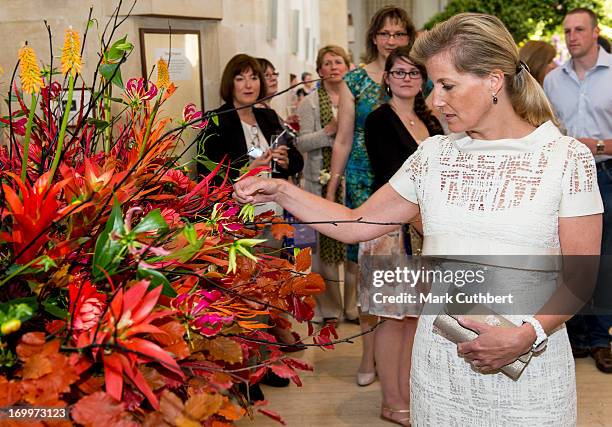 Sophie, Countess of Wessex looks at some of the flowers during a reception for the Guildford Flower Festival on June 5, 2013 in Guildford, England.