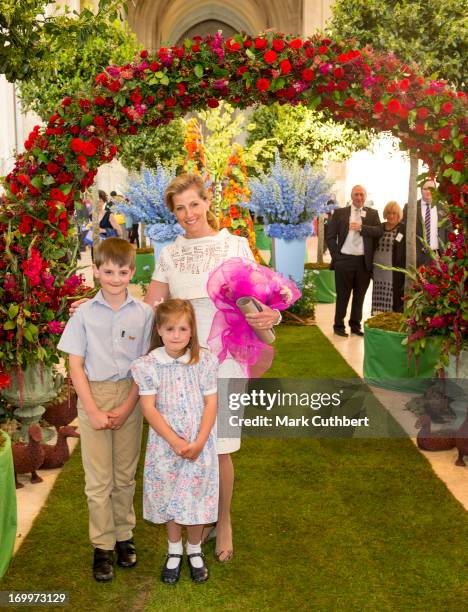 Sophie, Countess of Wessex is presented with some flowers as she attends a reception for the Guildford Flower Festival on June 5, 2013 in Guildford,...