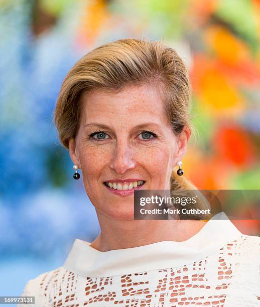 Sophie, Countess of Wessex attends a reception for the Guildford Flower Festival on June 5, 2013 in Guildford, England.