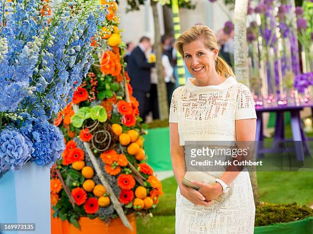 Sophie, Countess of Wessex looks at some of the flowers during a reception for the Guildford Flower Festival on June 5, 2013 in Guildford, England.