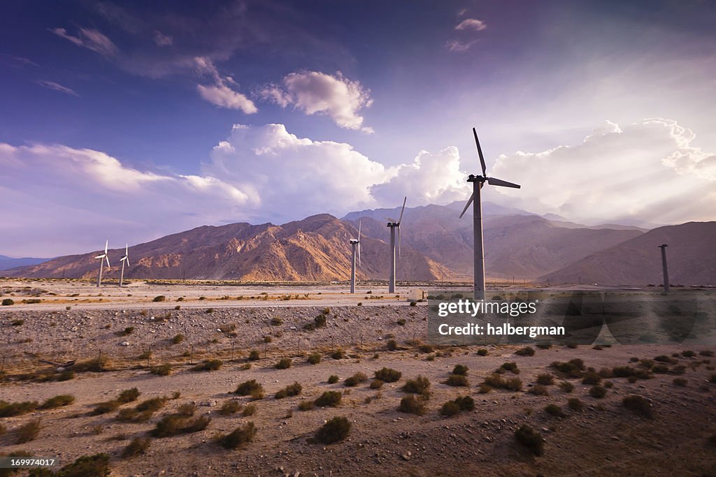 Wind Farm, Palm Springs, California