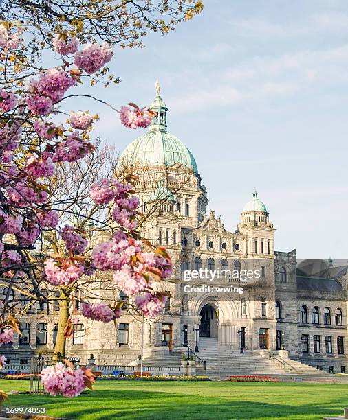 edificio del parlamento en victoria, columbia británica - victoria canada fotografías e imágenes de stock