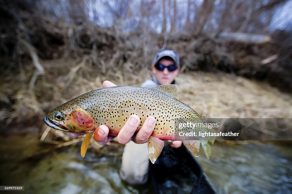 Purpurforellen Flyfishing