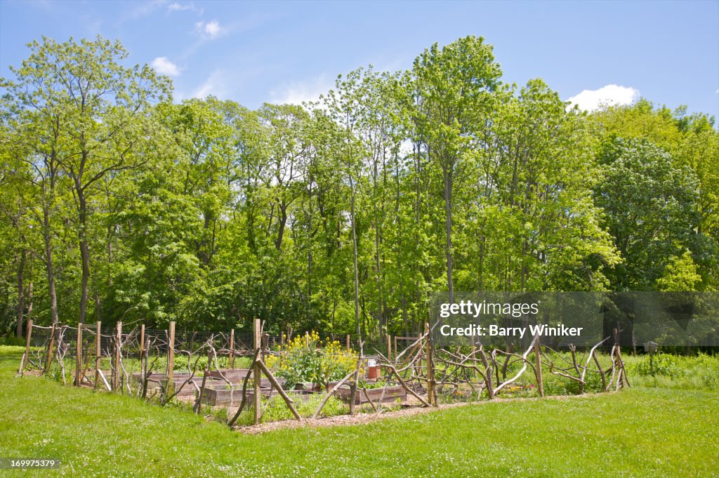 Tree branch fence surrounding garden