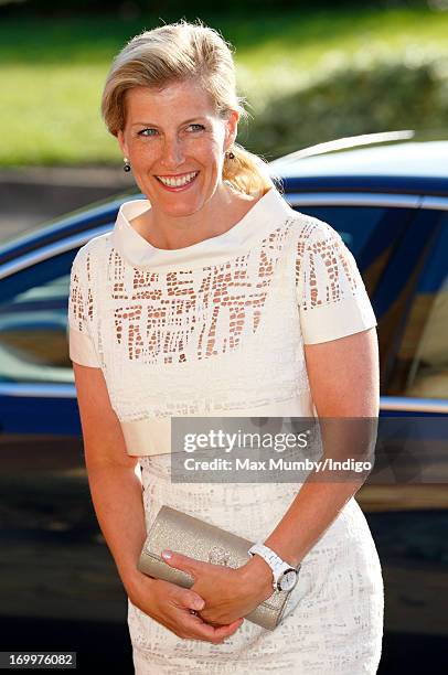 Sophie, Countess of Wessex attends a reception for the Guildford Flower Festival at Guildford Cathedral during a day of engagements in Surrey on...