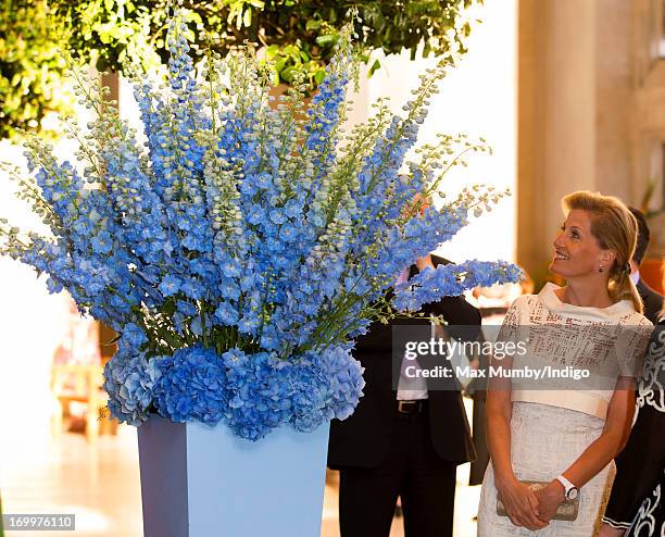 Sophie, Countess of Wessex views a floral display as she attends a reception for the Guildford Flower Festival at Guildford Cathedral during a day of...
