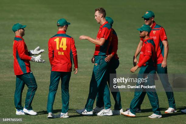 Billy Stanlake of Tasmania and Matthew Wade of Tasmania celebrates the dismissal of Marcus Harris of Victoria during the Marsh One Day Cup match...