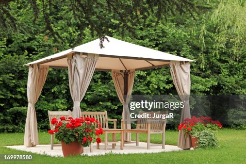 Pergola in a Garden