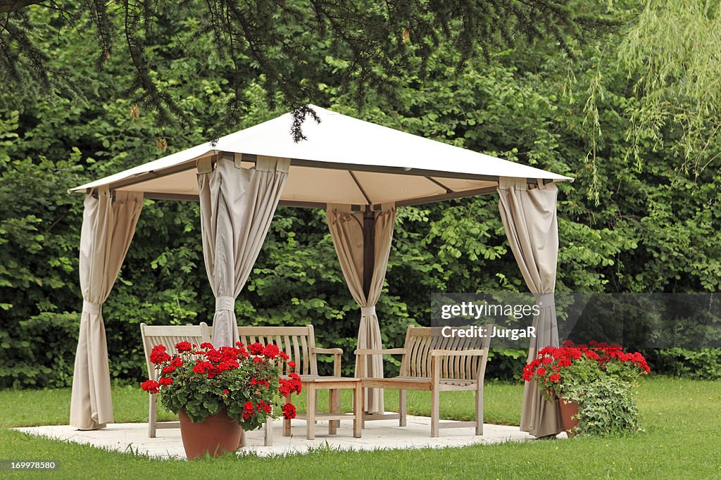 Pergola in a Garden