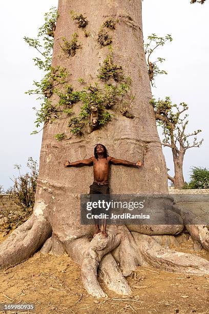 Afro Tree Roots African Tree Roots Photos and Premium High Res Pictures - Getty Images