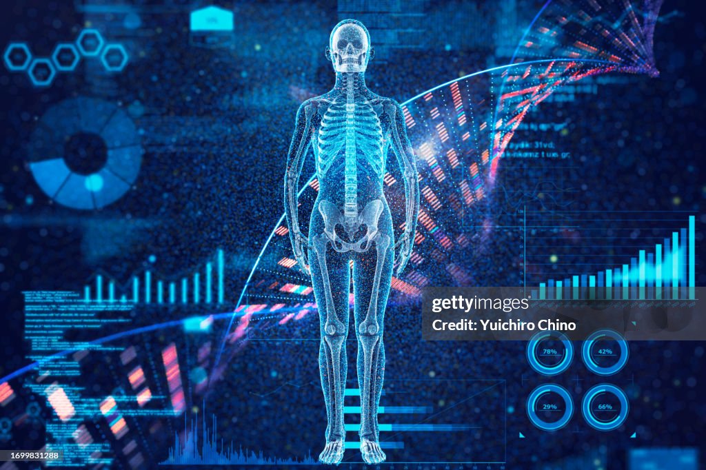 Human bone full body with genomic DNA molecular structure and data