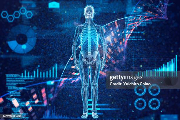human bone full body with genomic dna molecular structure and data - corpo humano imagens e fotografias de stock