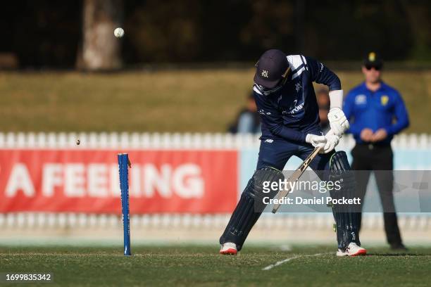 Peter Handscomb of Victoria is bowled out by Beau Webster of Tasmania during the Marsh One Day Cup match between Victoria and Tasmania at CitiPower...