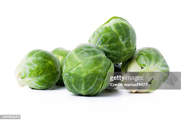 brussels sprouts - brussels sprout stock pictures, royalty-free photos & images