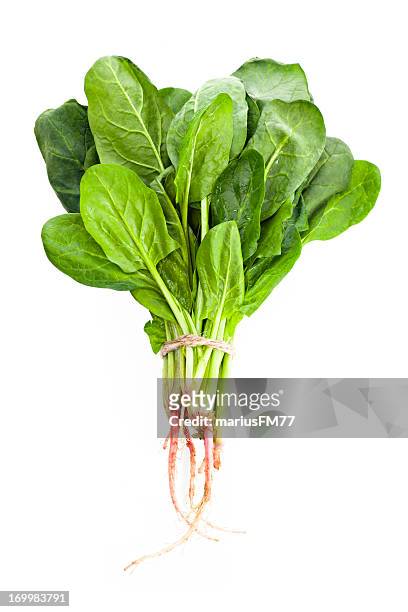 spinach - leaf vegetable stock pictures, royalty-free photos & images