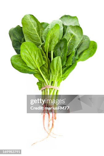 Spinach Spinach