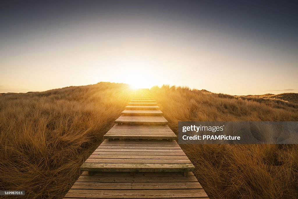 Boardwalk through the dunes