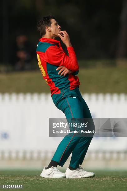 Paddy Dooley of Tasmania reacts during the Marsh One Day Cup match between Victoria and Tasmania at CitiPower Centre, on September 25 in Melbourne,...