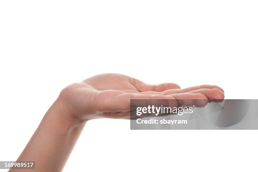Hand, open palm Hand, open palm