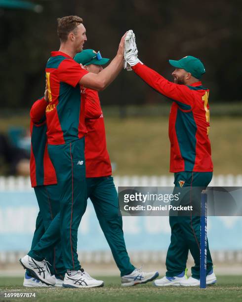 Billy Stanlake of Tasmania and Matthew Wade of Tasmania celebrate the dismissal of Sam Elliott of Victoria during the Marsh One Day Cup match between...