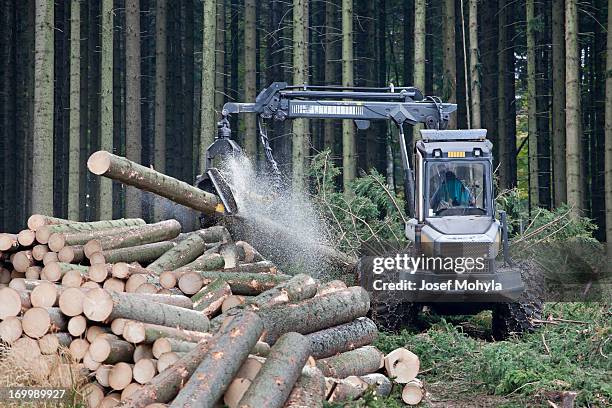 feller buncher im wald - forest machine stock-fotos und bilder