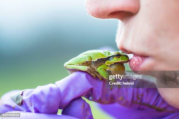 beauty and frog - frog prince stock pictures, royalty-free photos & images