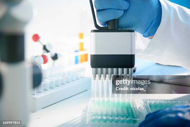 scientific research - microplate stock pictures, royalty-free photos & images