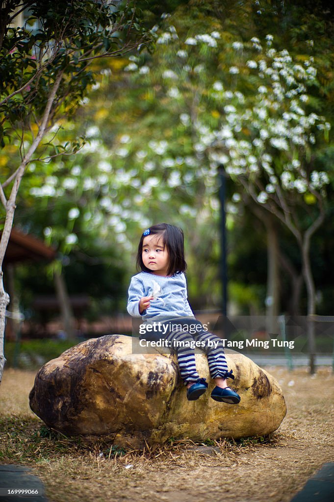 Toddler girl sitting on a big rock holding flower