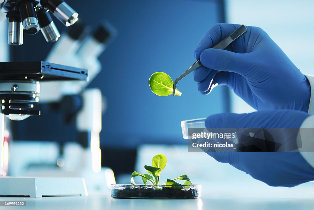 Biotechnology